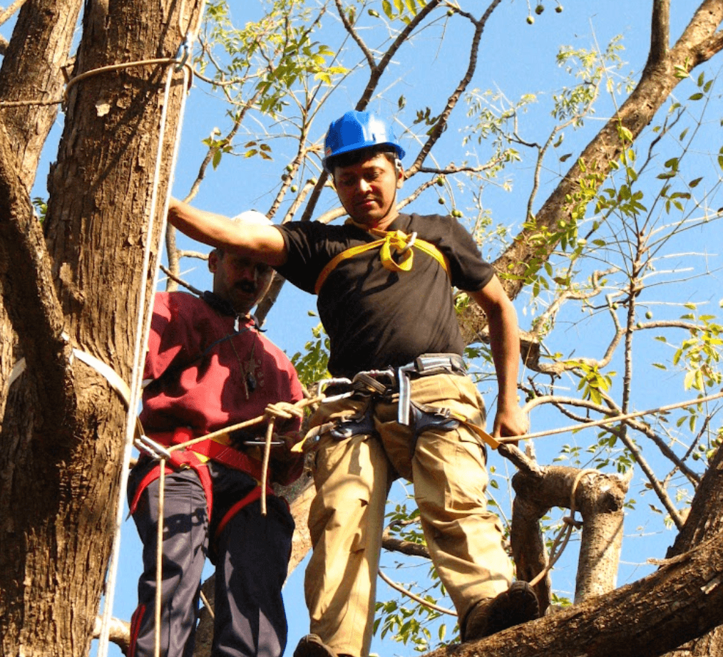 Rock Climbing, Rappelling & Technical Mountaineering Safety